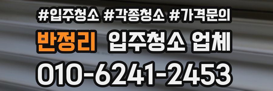 반정리 입주청소 업체