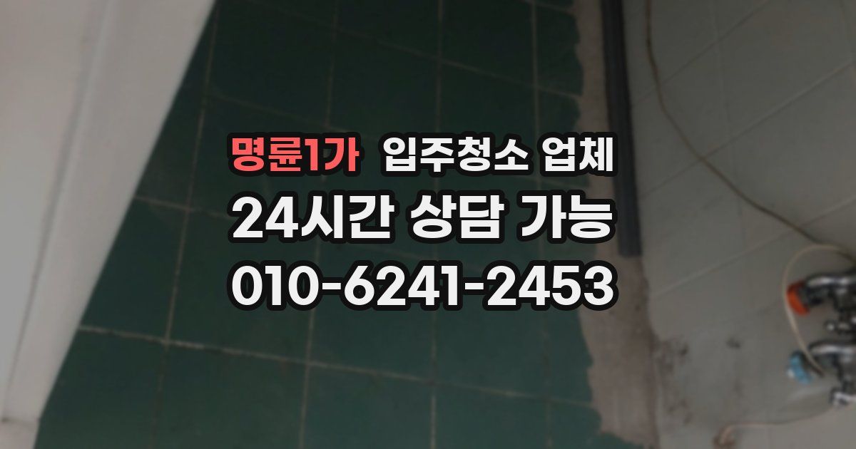 명륜1가 입주청소 업체