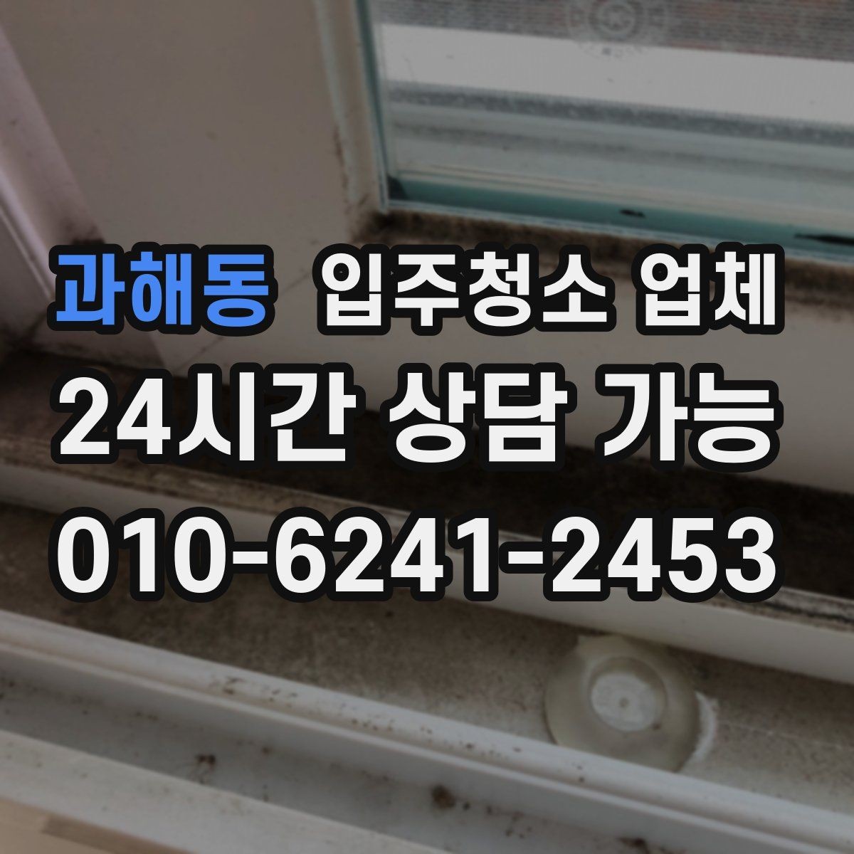 과해동 입주청소 업체 서비스 범위와 옵션 차이