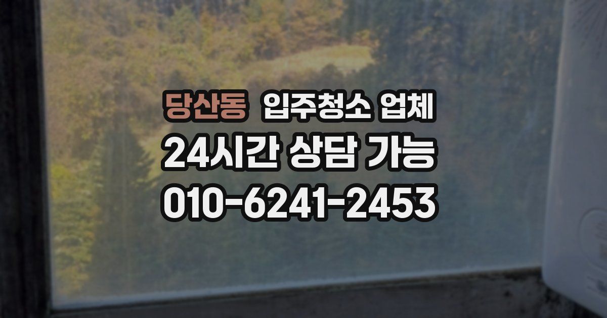 당산동 입주청소 업체
