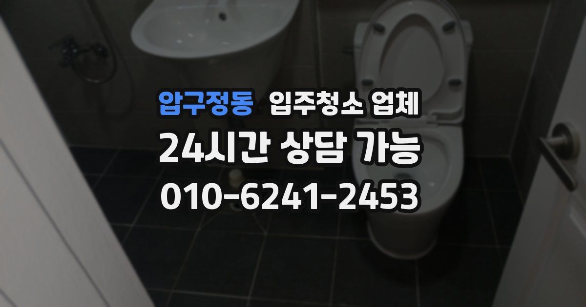 압구정동 입주청소 업체