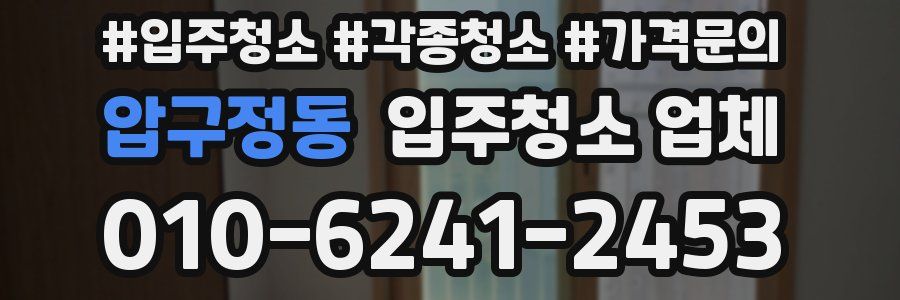 압구정동 입주청소 업체