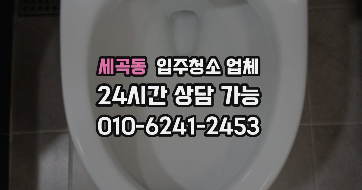 세곡동 입주청소 업체