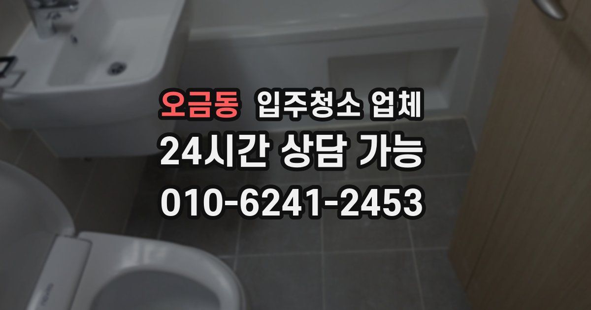 오금동 입주청소 업체