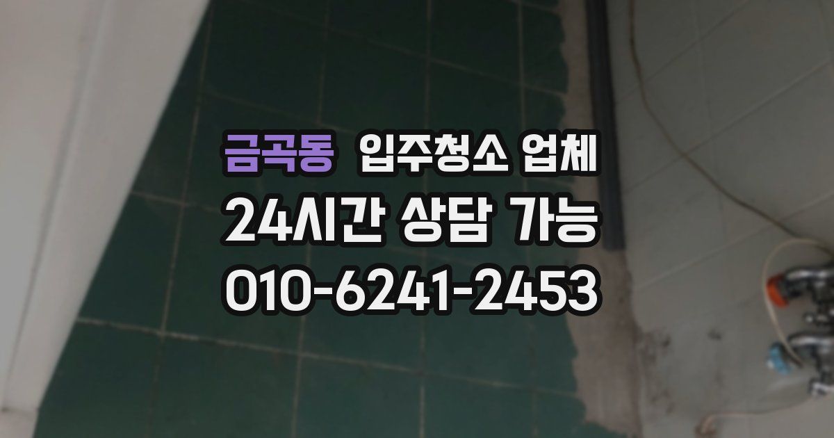 금곡동 입주청소 업체