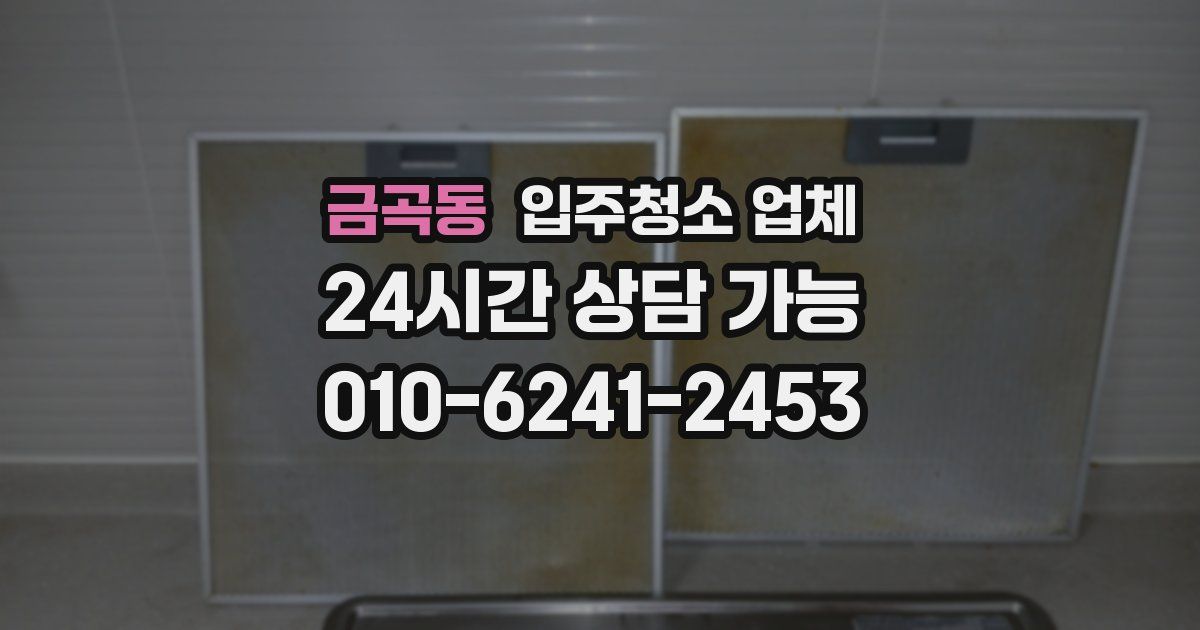 금곡동 입주청소 업체