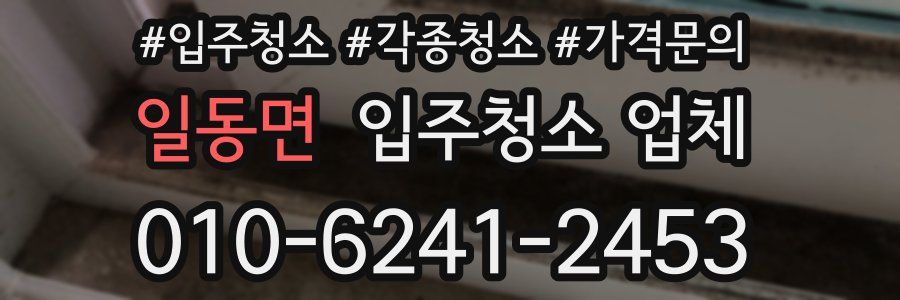 일동면 입주청소 업체