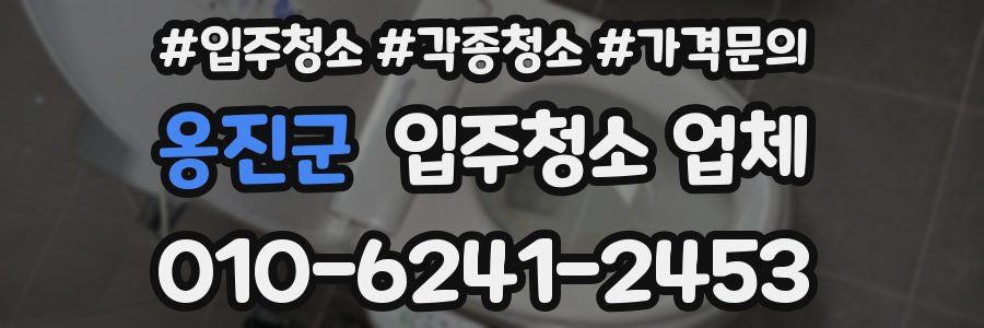 옹진군 입주청소 업체