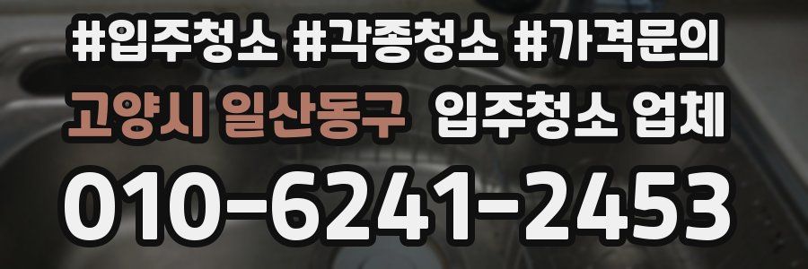 고양시 일산동구 입주청소 업체