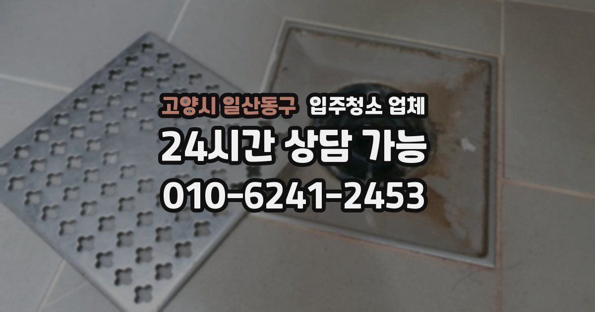 고양시 일산동구 입주청소 업체