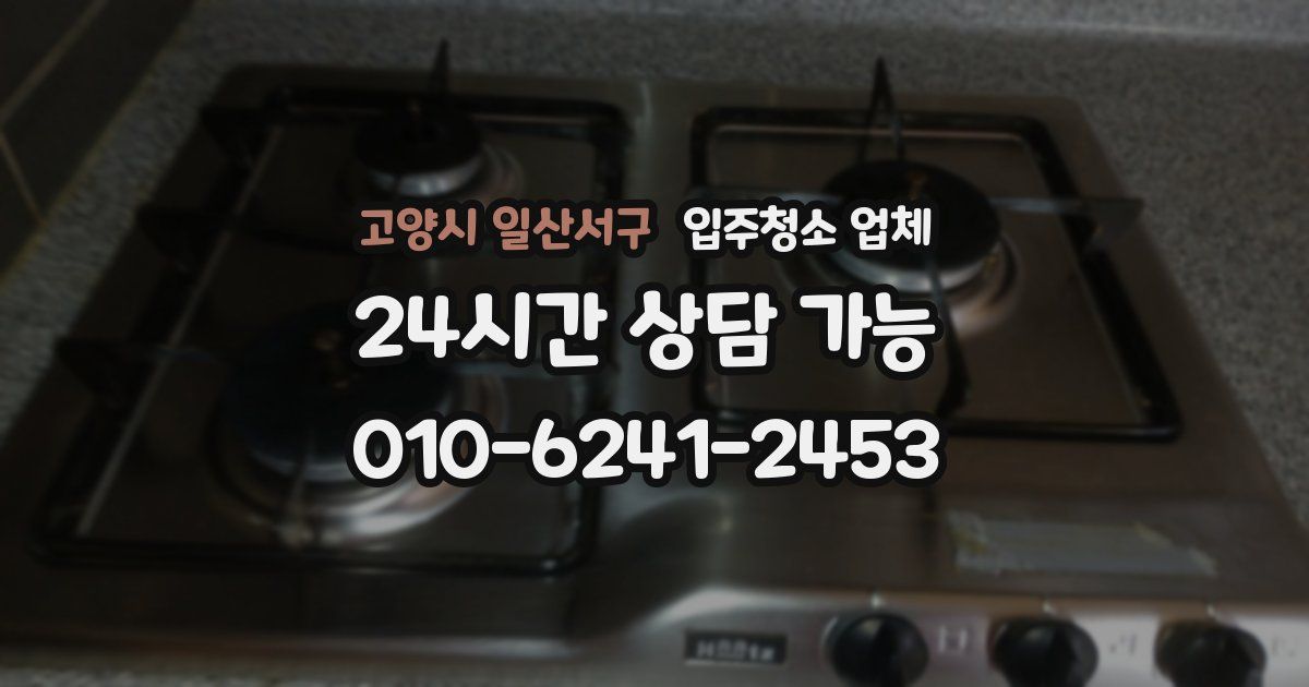 고양시 일산서구 입주청소 업체