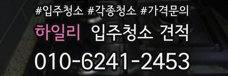 하일리 입주청소 견적