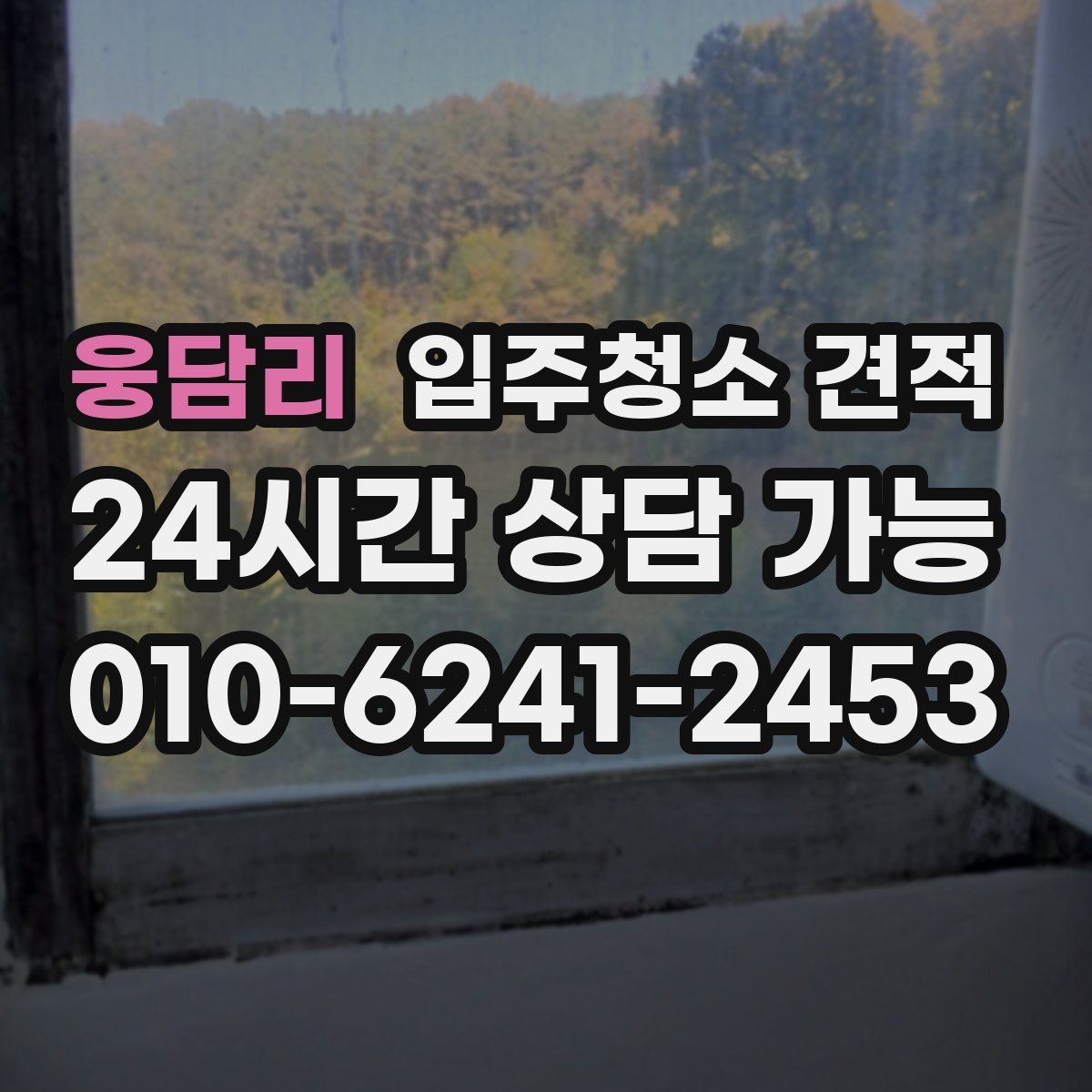 웅담리 입주청소 견적
