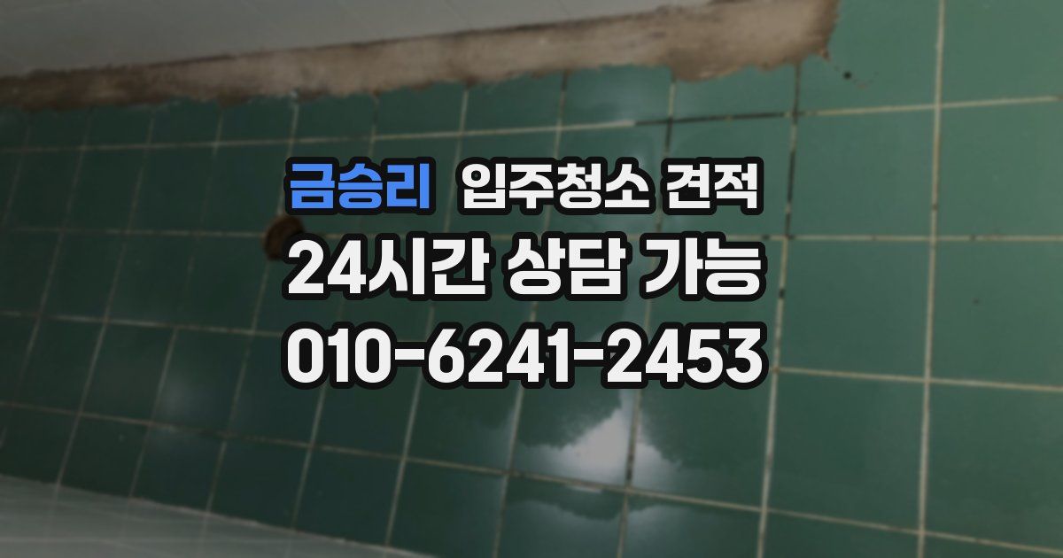 금승리 입주청소 견적