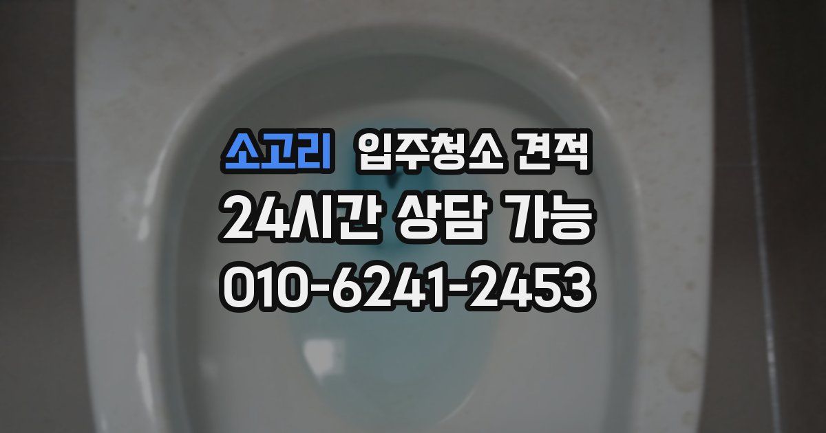 소고리 입주청소 견적