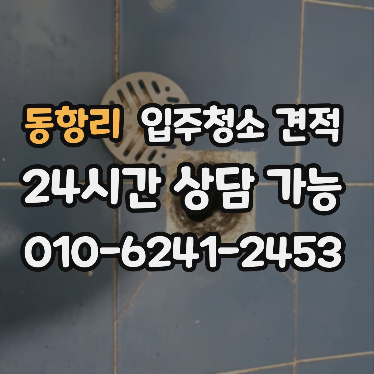동항리 입주청소 견적