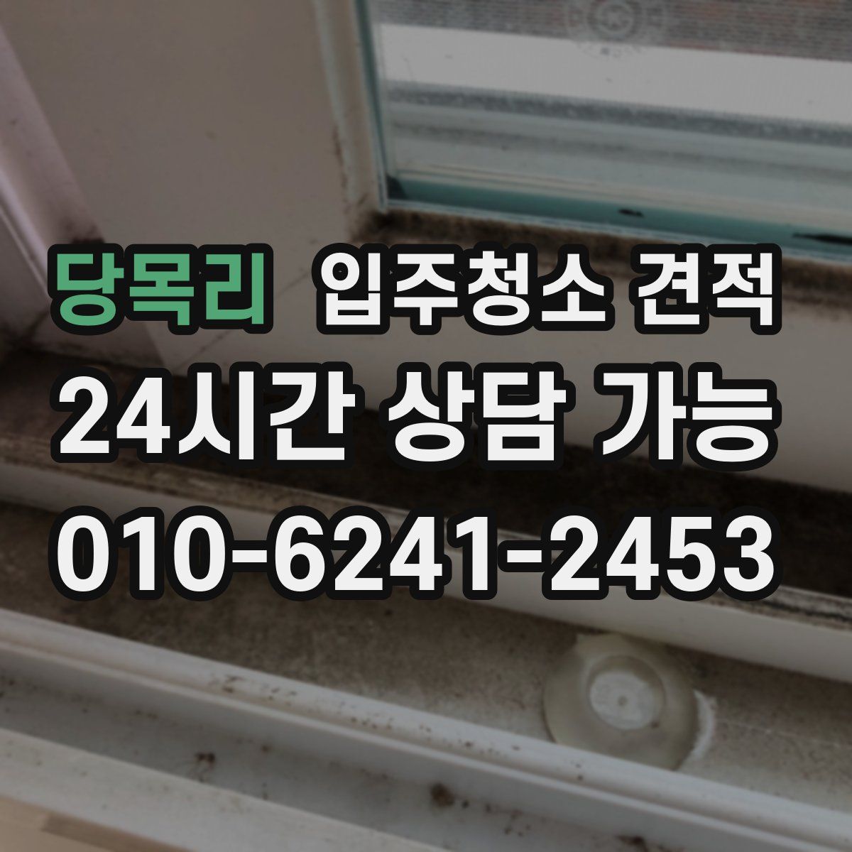 당목리 입주청소 견적