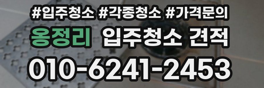 옹정리 입주청소 견적