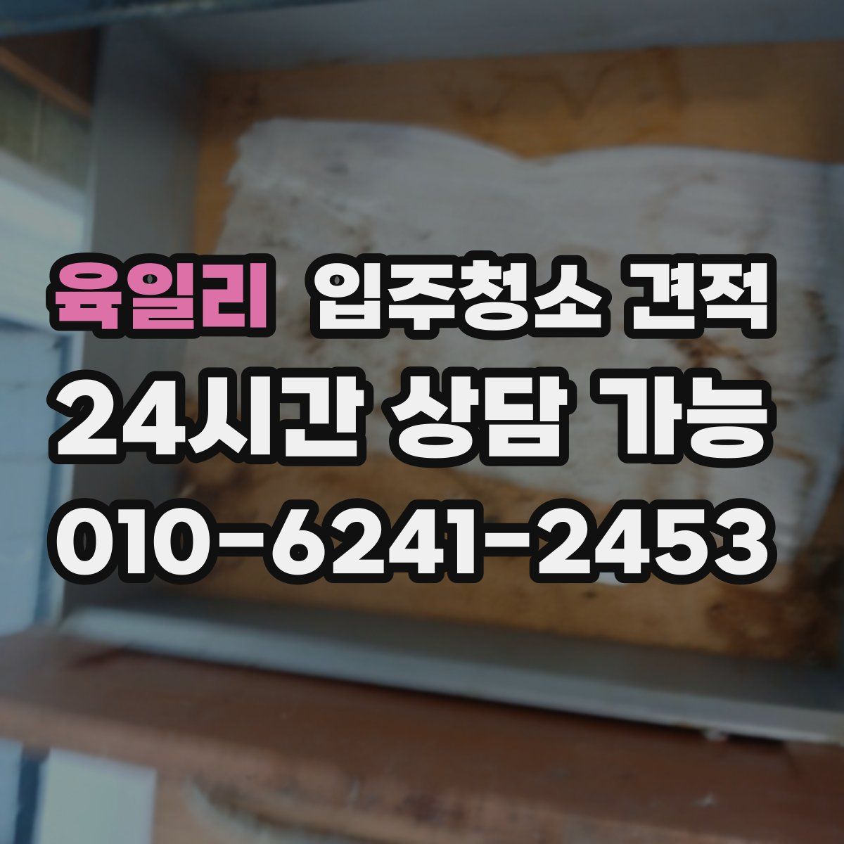 육일리 입주청소 견적