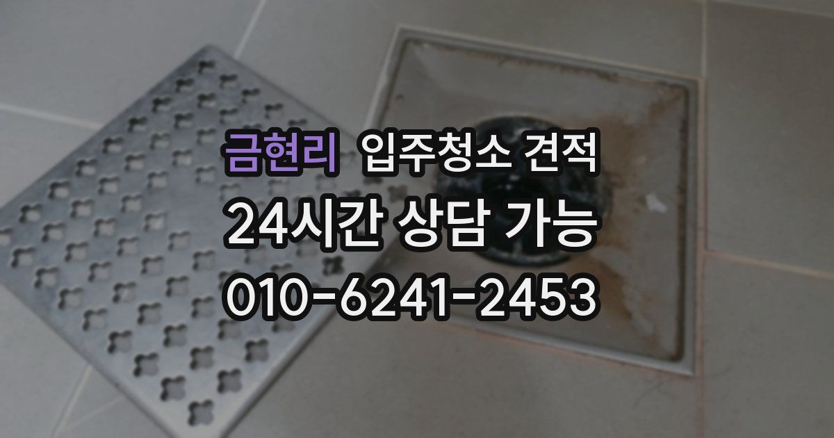 금현리 입주청소 견적