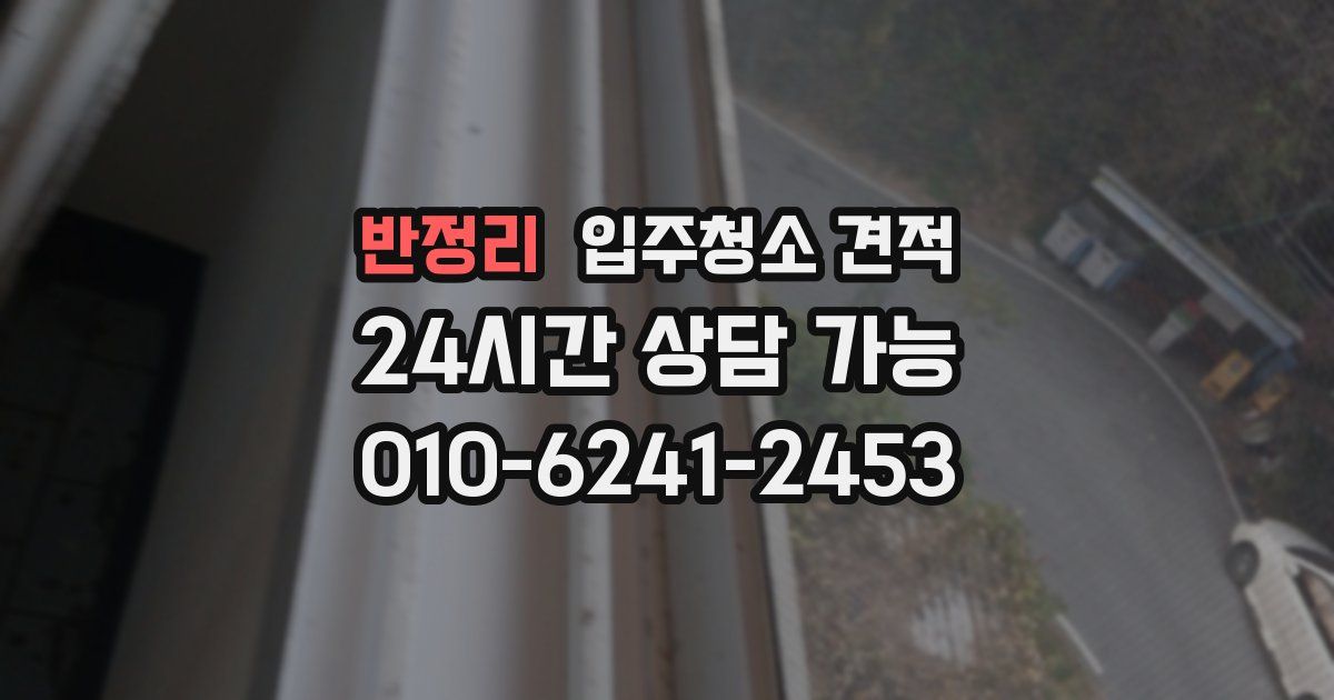 반정리 입주청소 견적