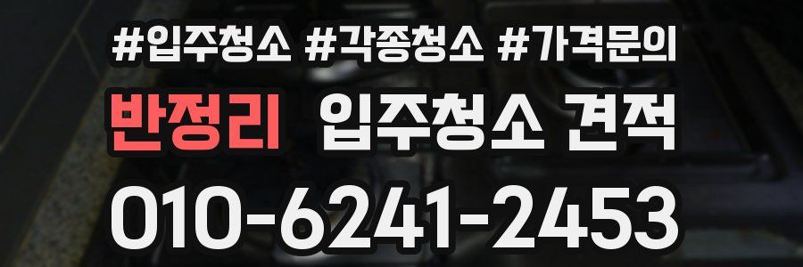 반정리 입주청소 견적