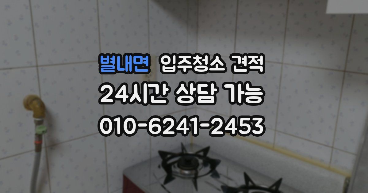 별내면 입주청소 견적
