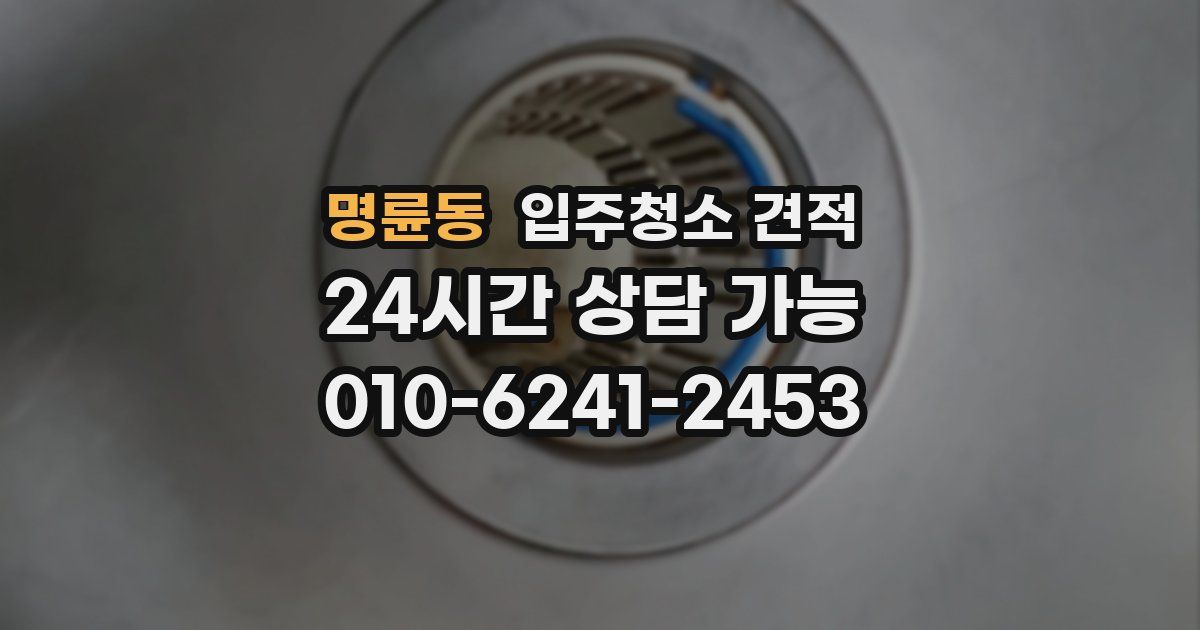 명륜동 입주청소 견적