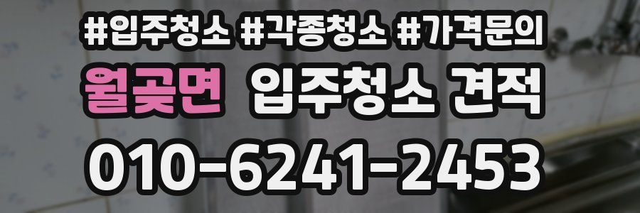 월곶면 입주청소 견적
