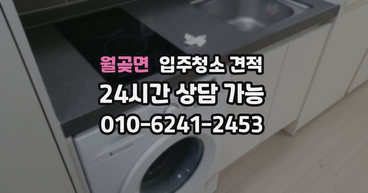 월곶면 입주청소 견적