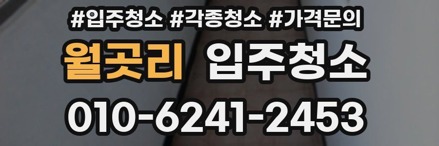 월곳리 이사청소