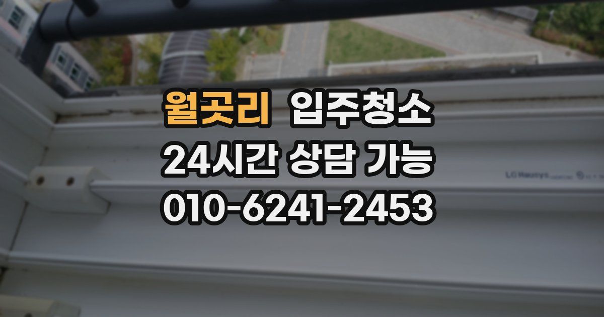 월곳리 입주청소