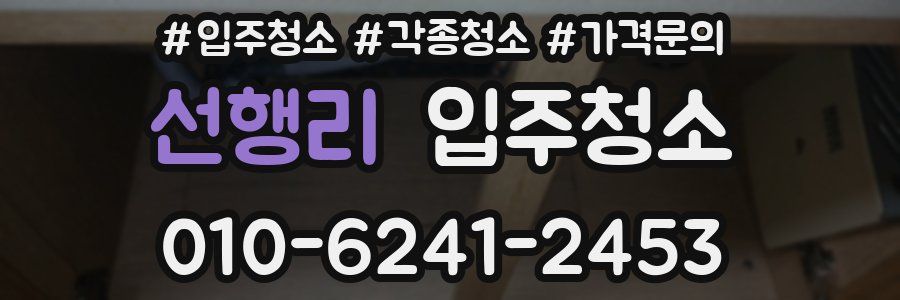 선행리 이사청소