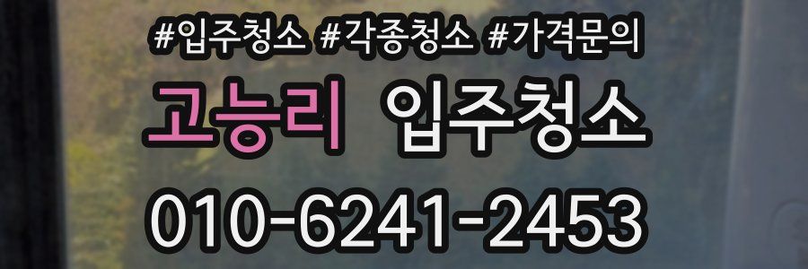 고능리 이사청소