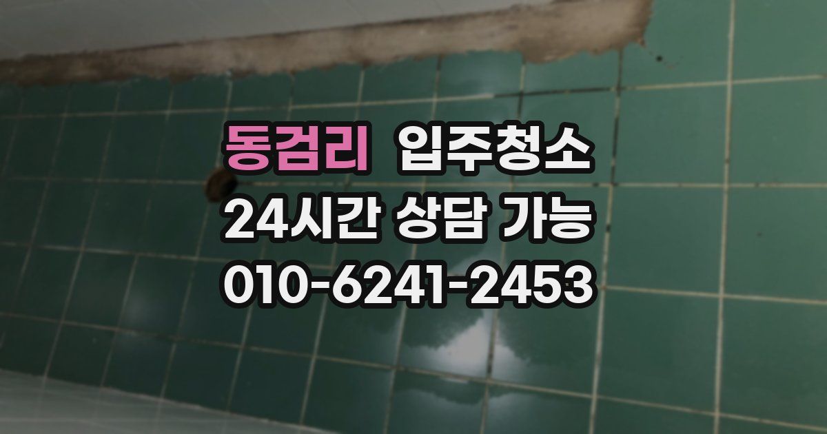 동검리 입주청소