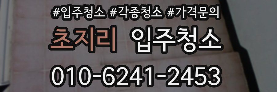 초지리 이사청소