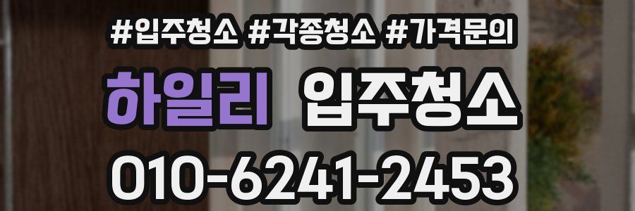 하일리 이사청소