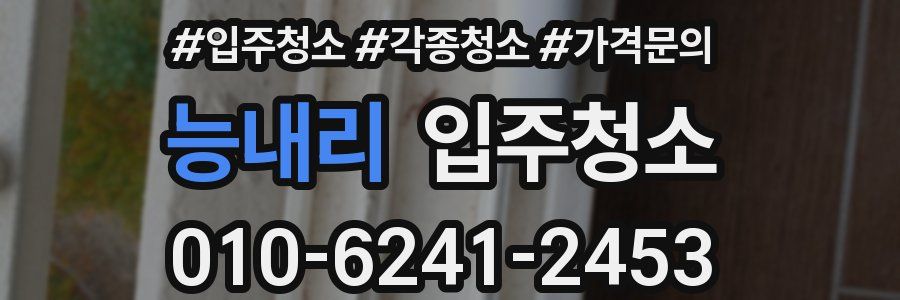 능내리 이사청소