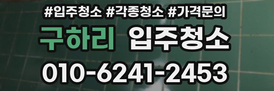 구하리 이사청소