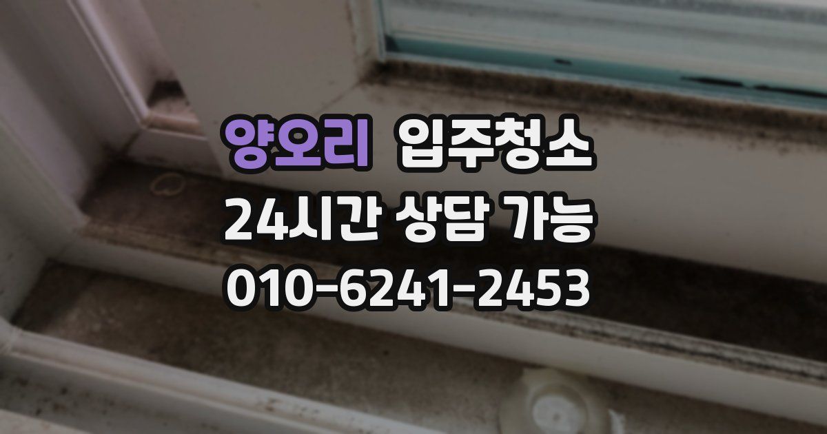 양오리 입주청소