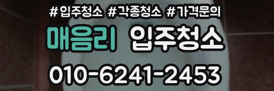 매음리 이사청소