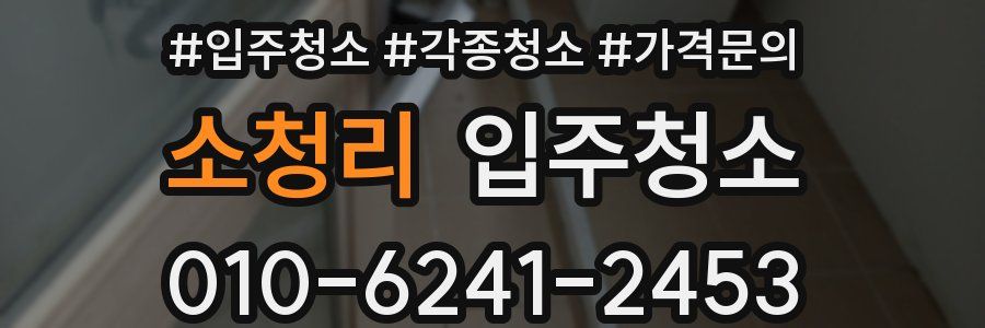 소청리 이사청소