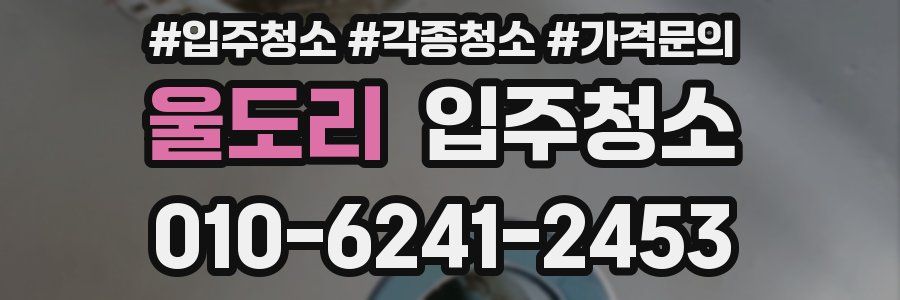 울도리 이사청소