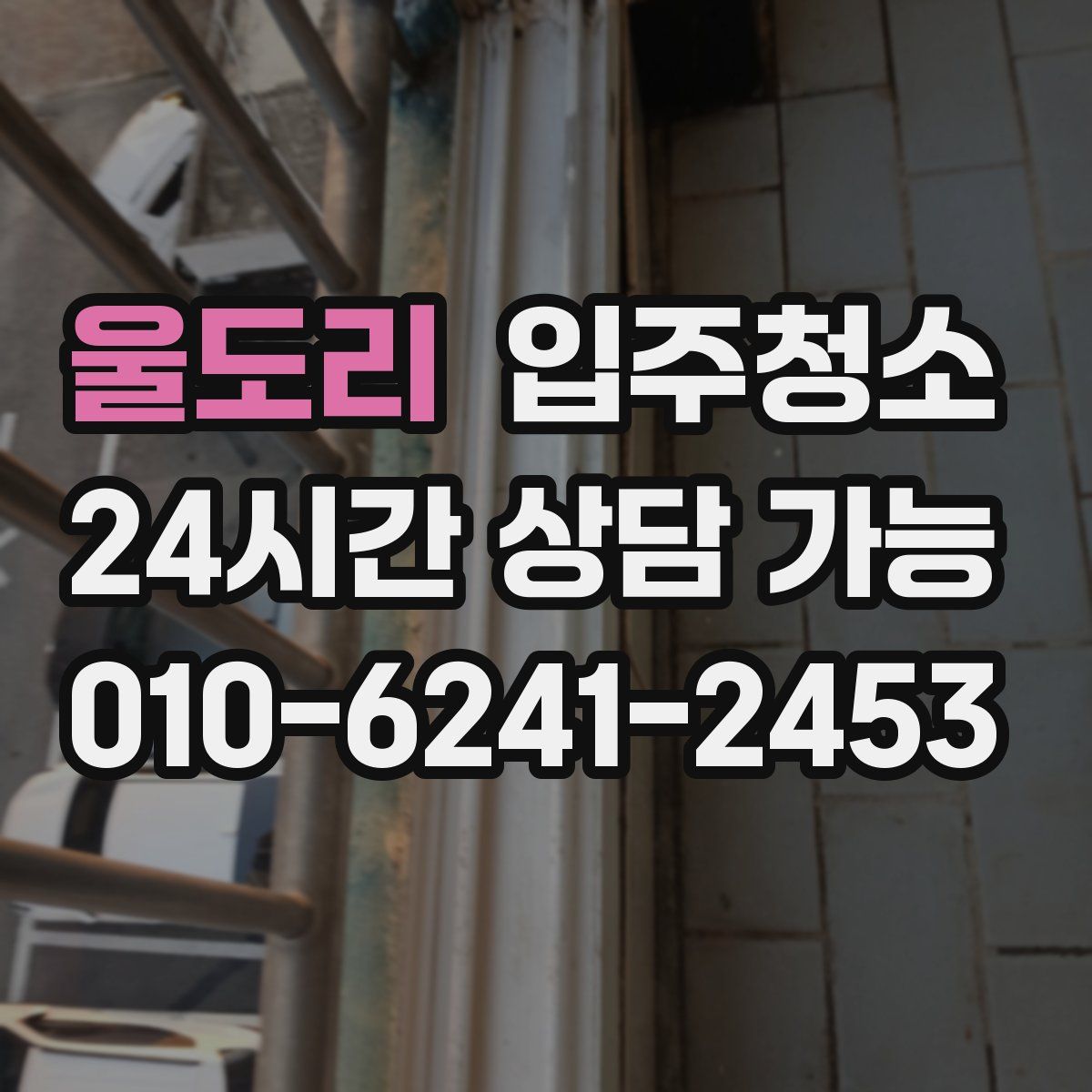 울도리 원룸청소