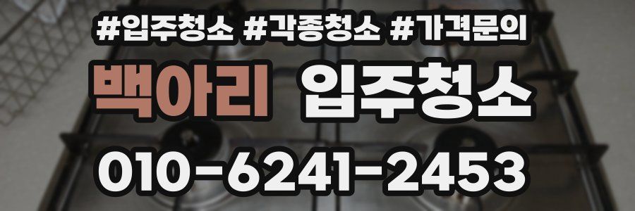 백아리 이사청소