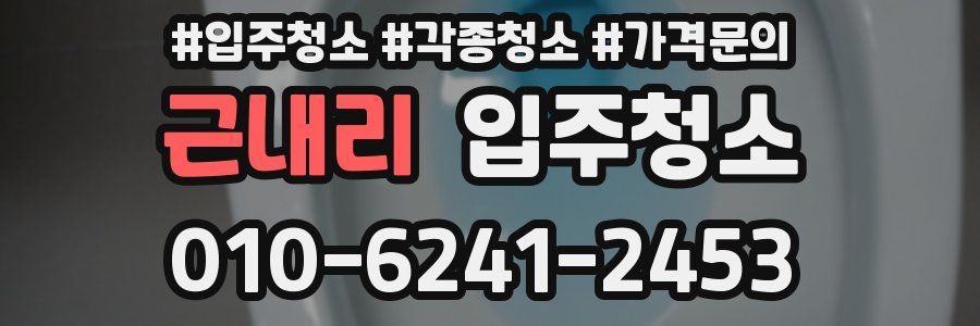 근내리 이사청소