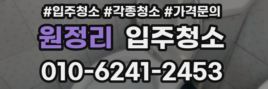 원정리 이사청소