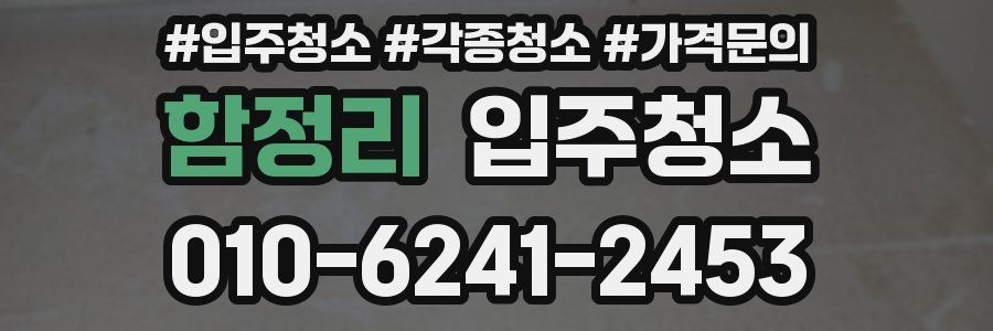 함정리 이사청소