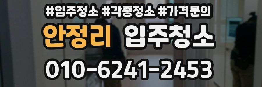 안정리 이사청소