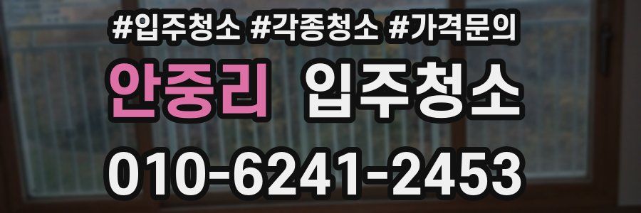 안중리 이사청소